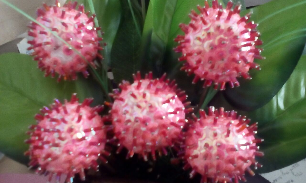 Rambutan dari Manik-Manik