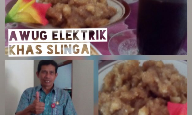 “Awug Elektrik”, Manis Gurih Legit Menggigit