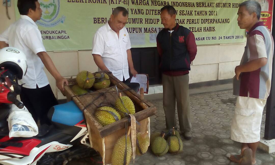 Kampung Durian Desa Sidareja