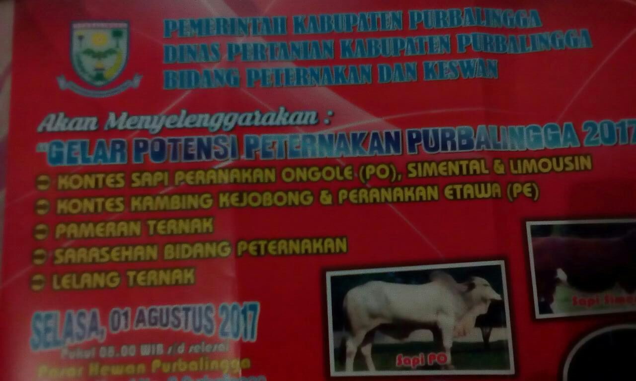 1 Agustus Gelar Potensi Peternakan Purbalingga