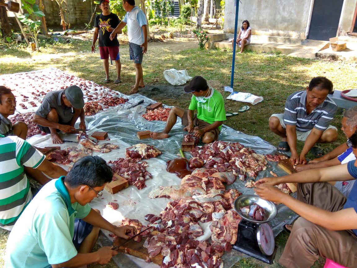 Data Pemotongan Hewan Qurban Kecamatan Kaligondang