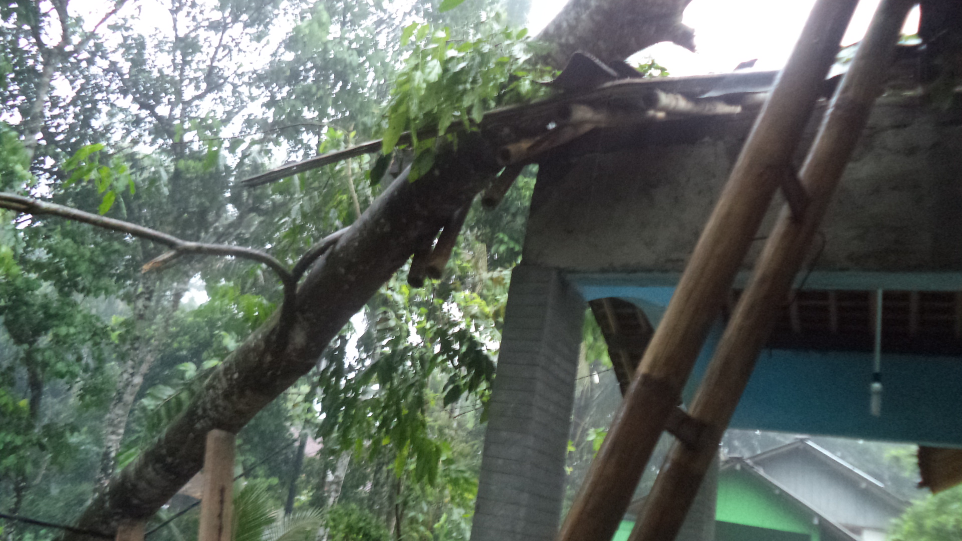 Akibat Hujan dan Angin Teras Rumah Hadiman Tertimpa Pohon Jengkol