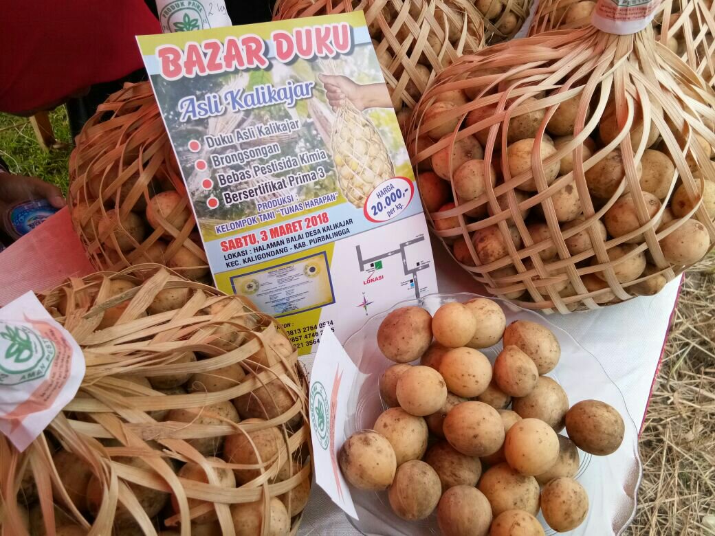 Sukses Bazar Duku Kalikajar Akan Jadi Agenda Tahunan Festival Duku Kabupaten