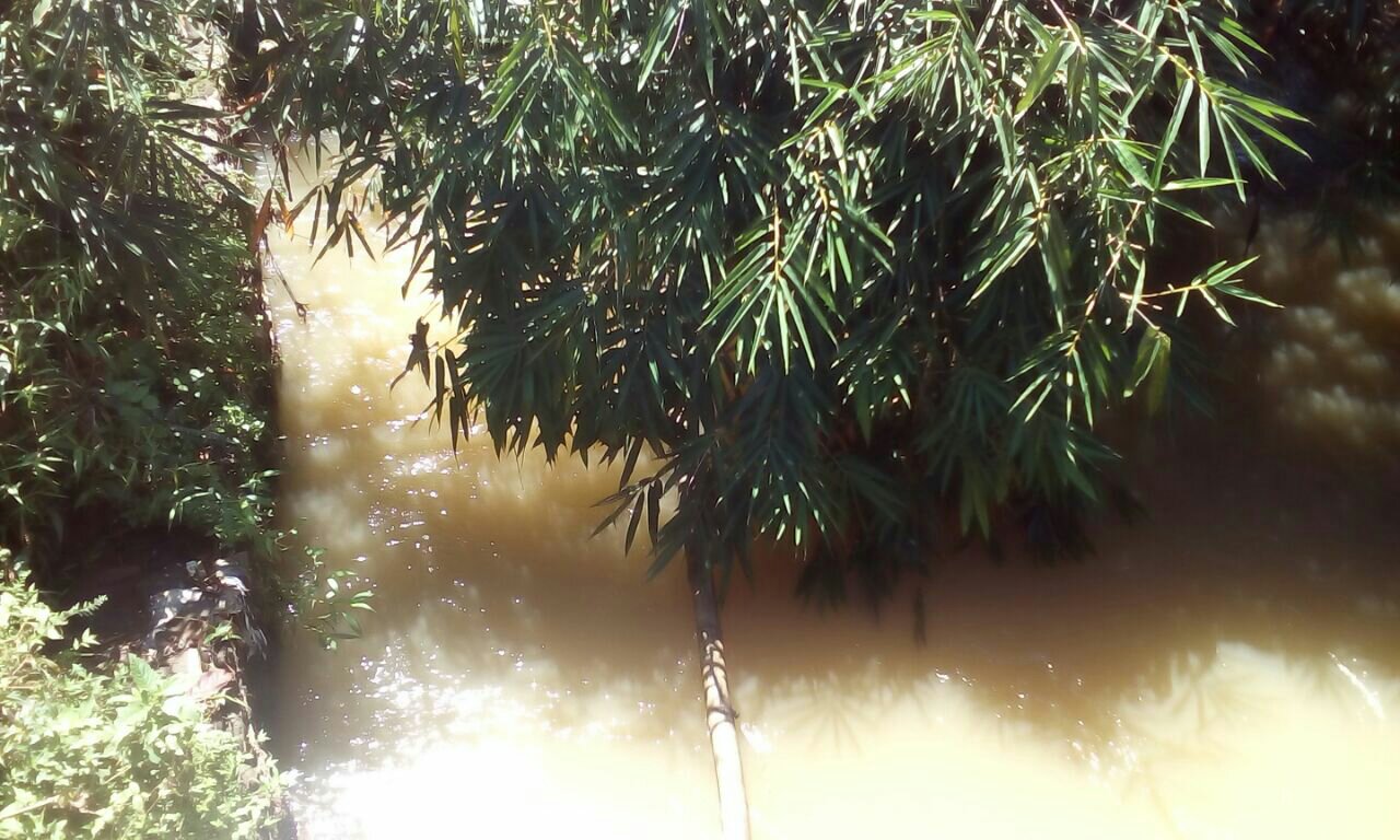 Selakambang-Kaligondang. Desa Ini Dialiri 3 Sungai