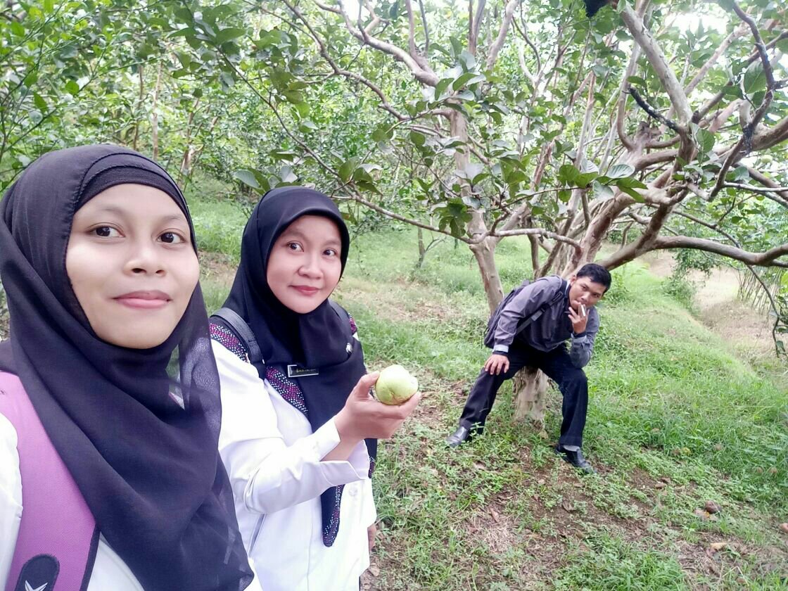BOGAR Wisata Edukasi dan Petik Buah di Purbalingga
