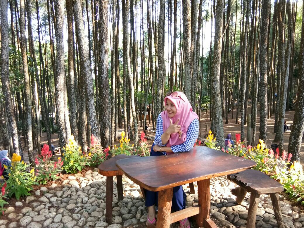 Pinus Asri Mangunan