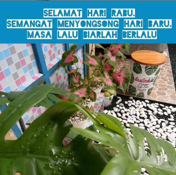 7+ Ucapan Penyemangat Di Hari Rabu