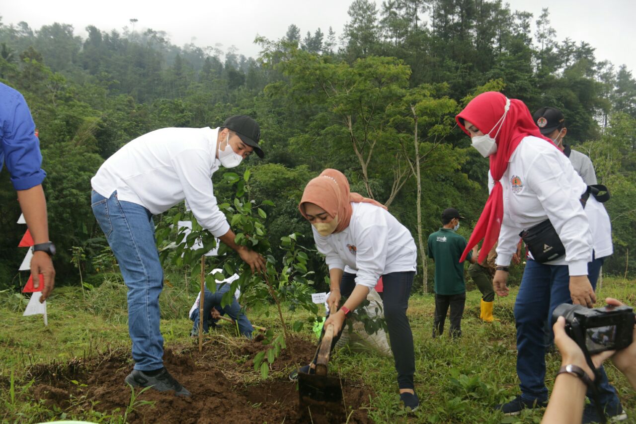 Pecinta Alam dan Bupati Tiwi Tanam 1000 Pohon untuk Konservasi Mata Air