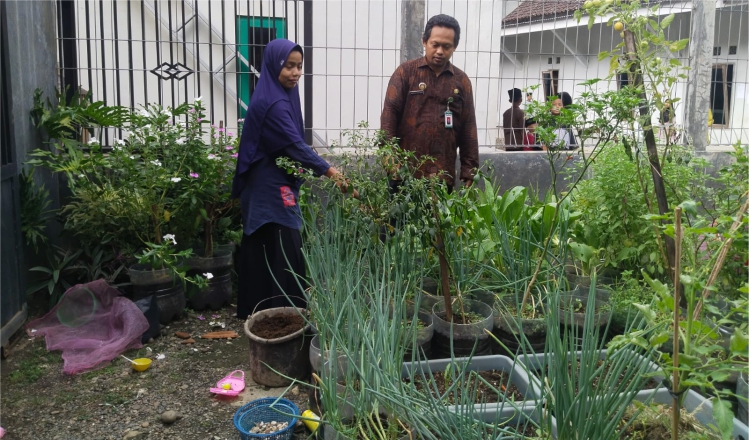 Pak Tour Kreatif Olah Lahan Kecil Belakang Rumah Jadi Hemat Belanja Dapur
